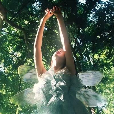 跨越山海2024音乐会